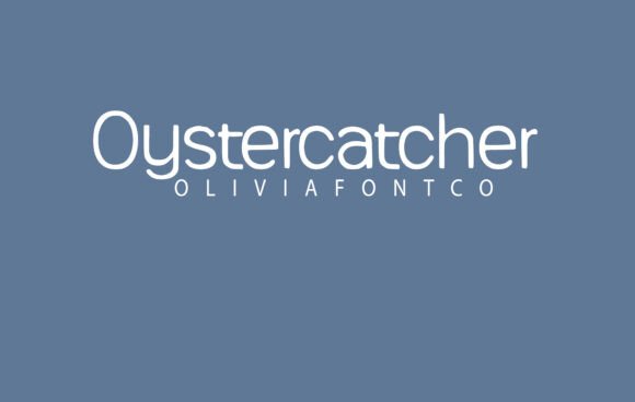 Oystercatcher Font: Romantic Handwritten Style